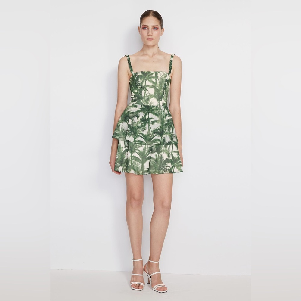 AMUR Ashton Ruffle Dress size 6